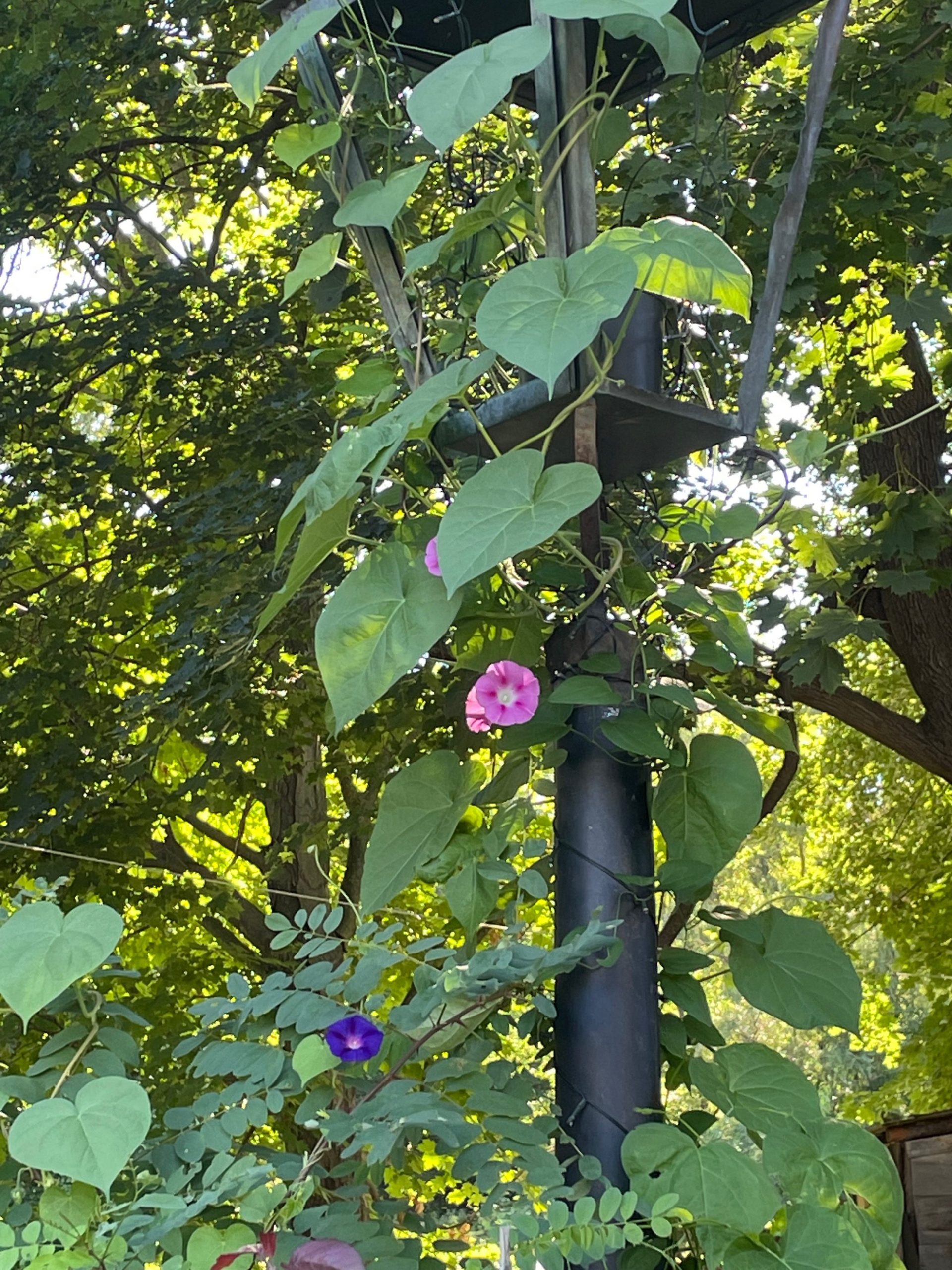 Recycled copper lamp post