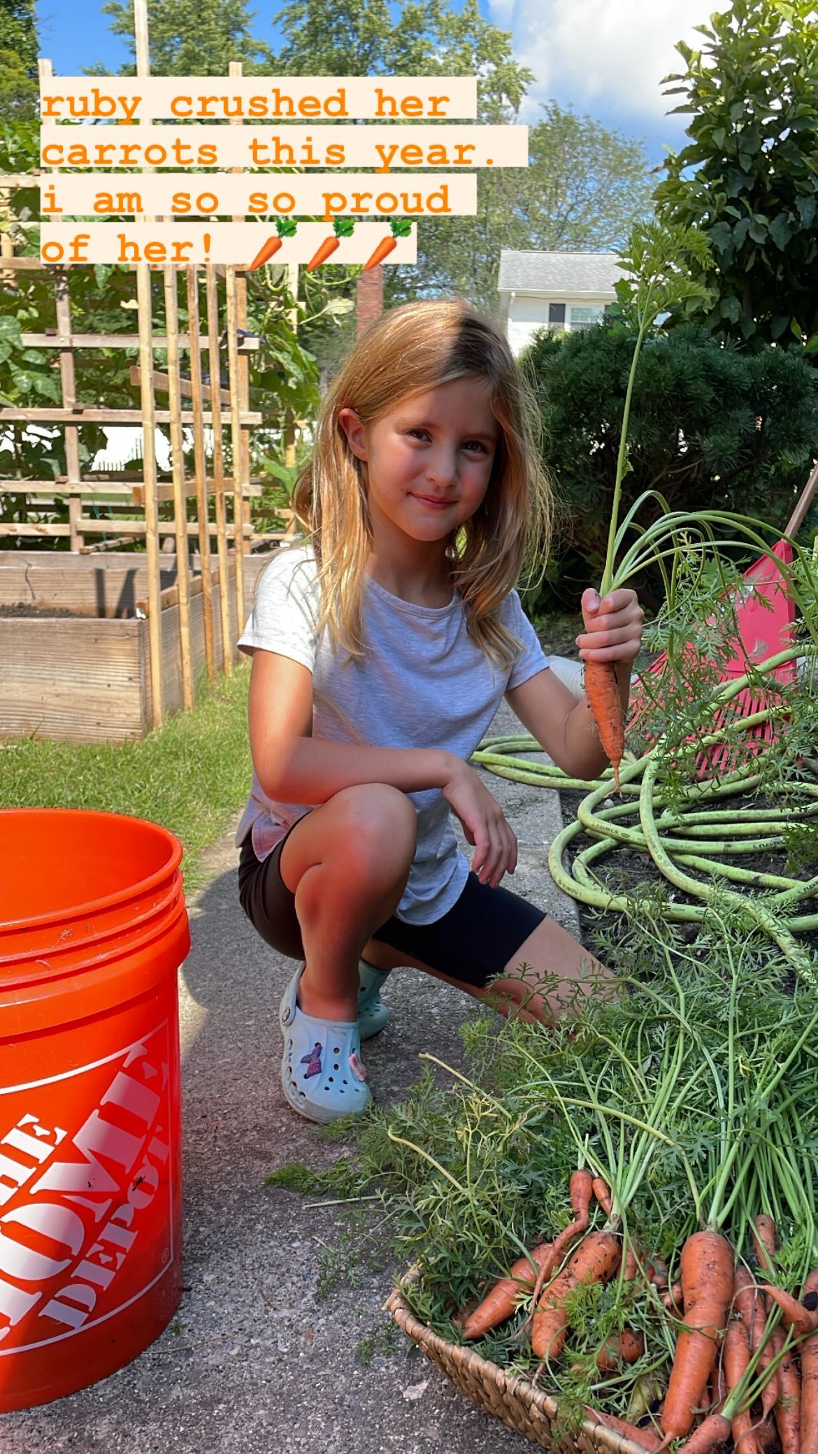 Ruby’s 1st Carrot Harvest!