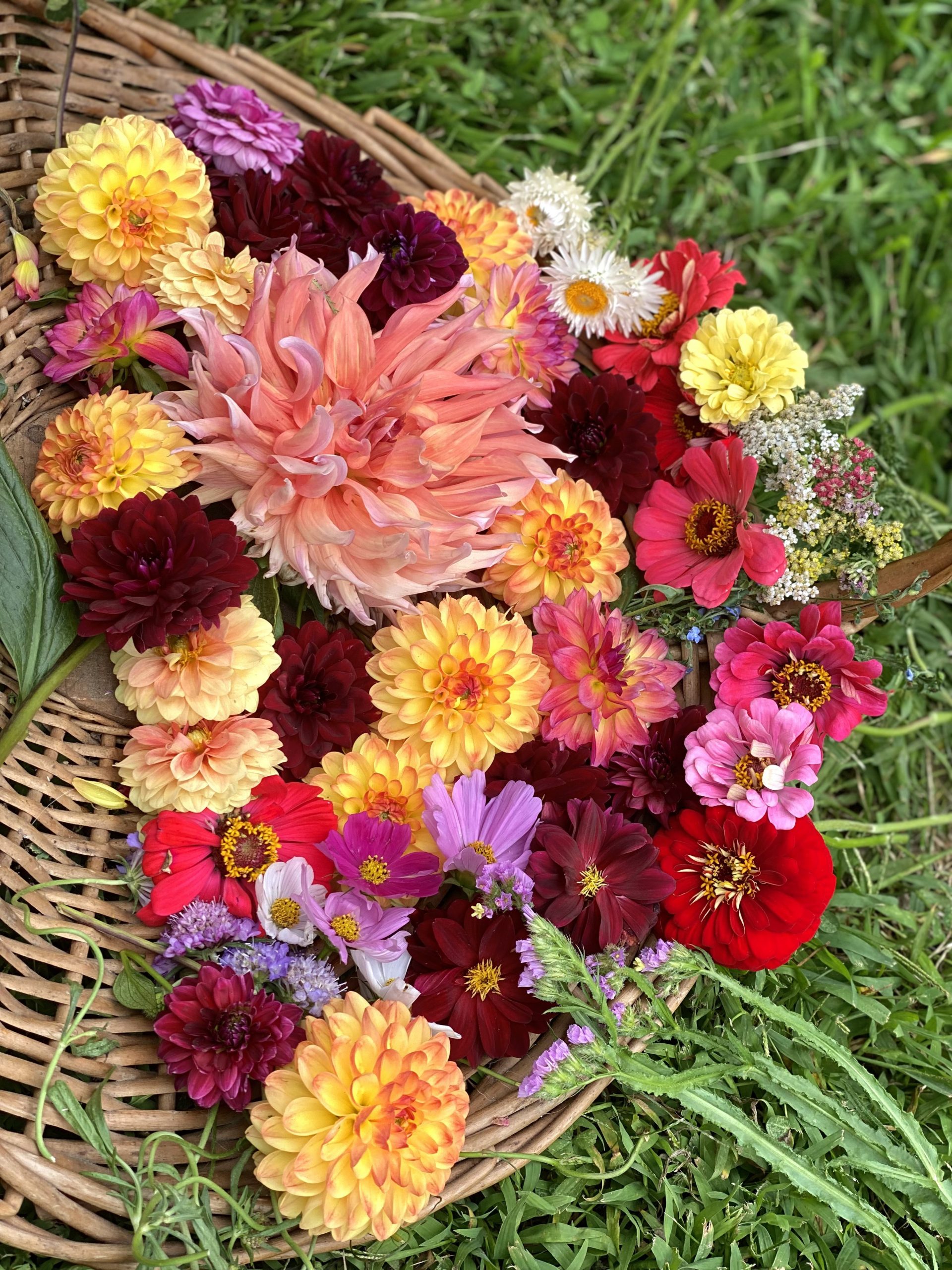 Flower harvest