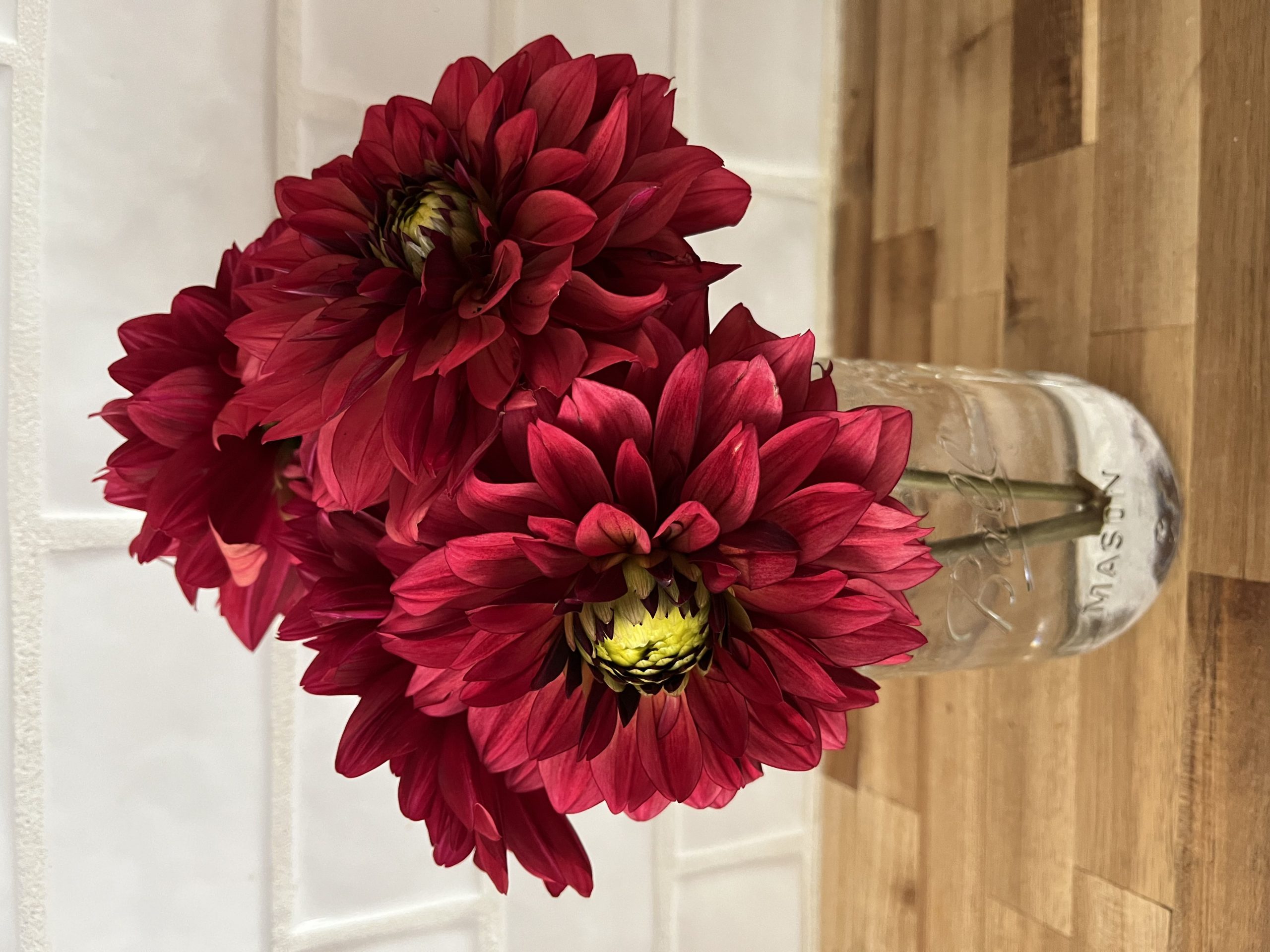 Fresh cut dahlias