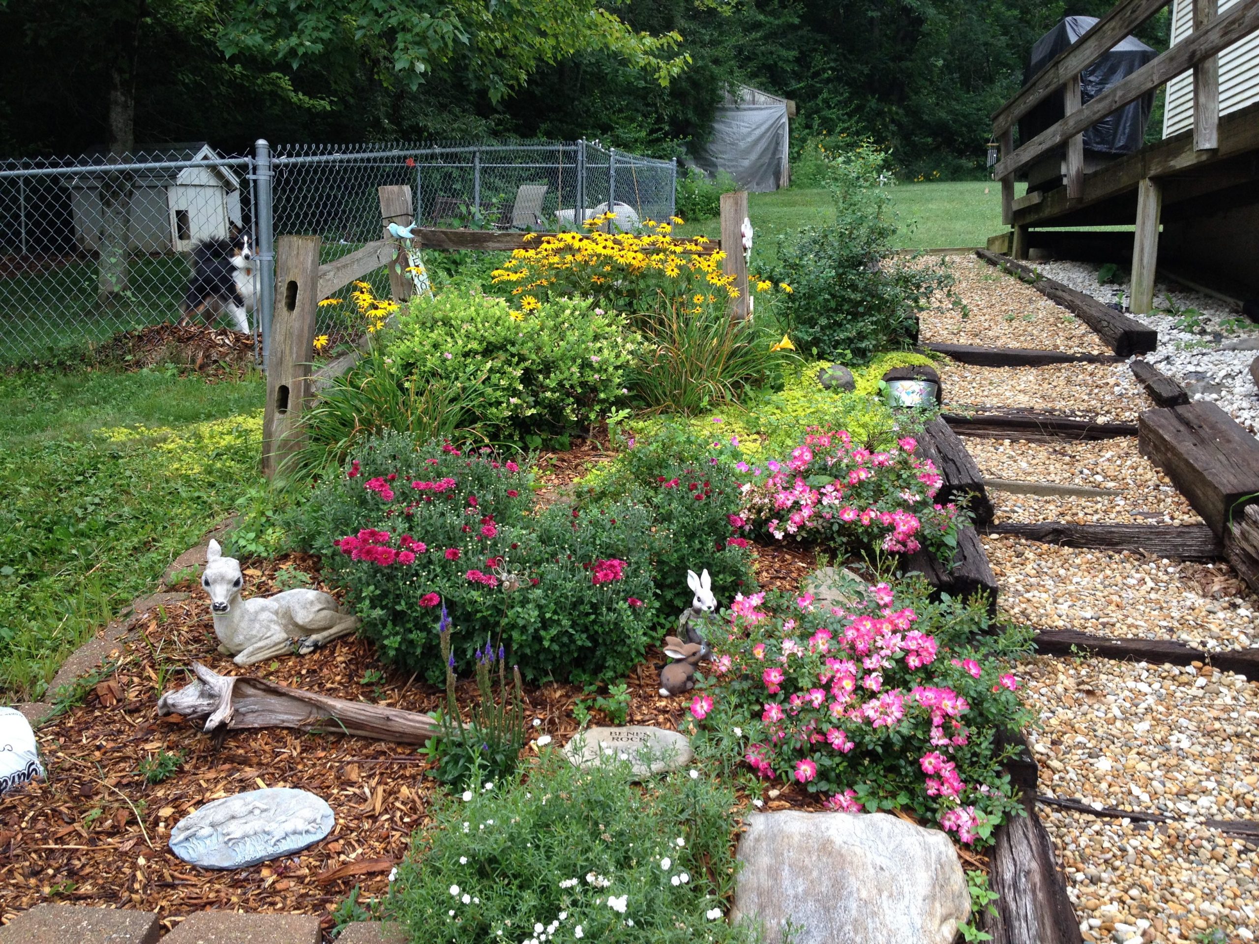 Example: My Field of Zinnias!