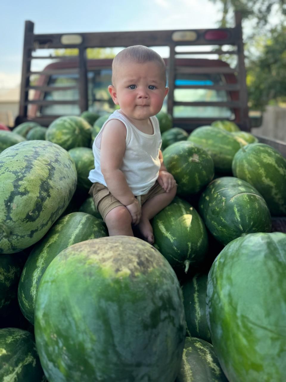 Daddy D’s & Dash Dixons Watermelon Crop