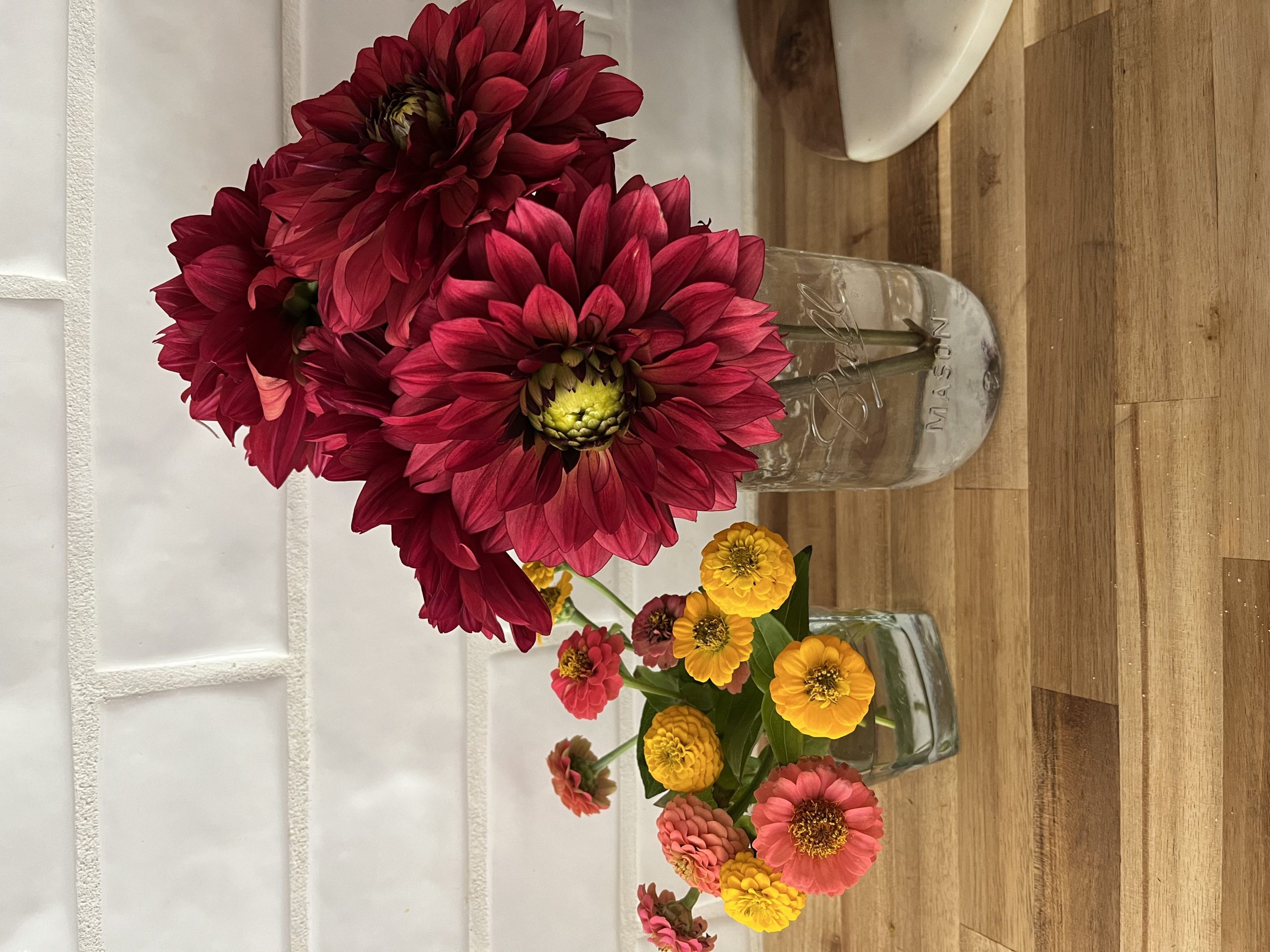 Dahlias and zinnias