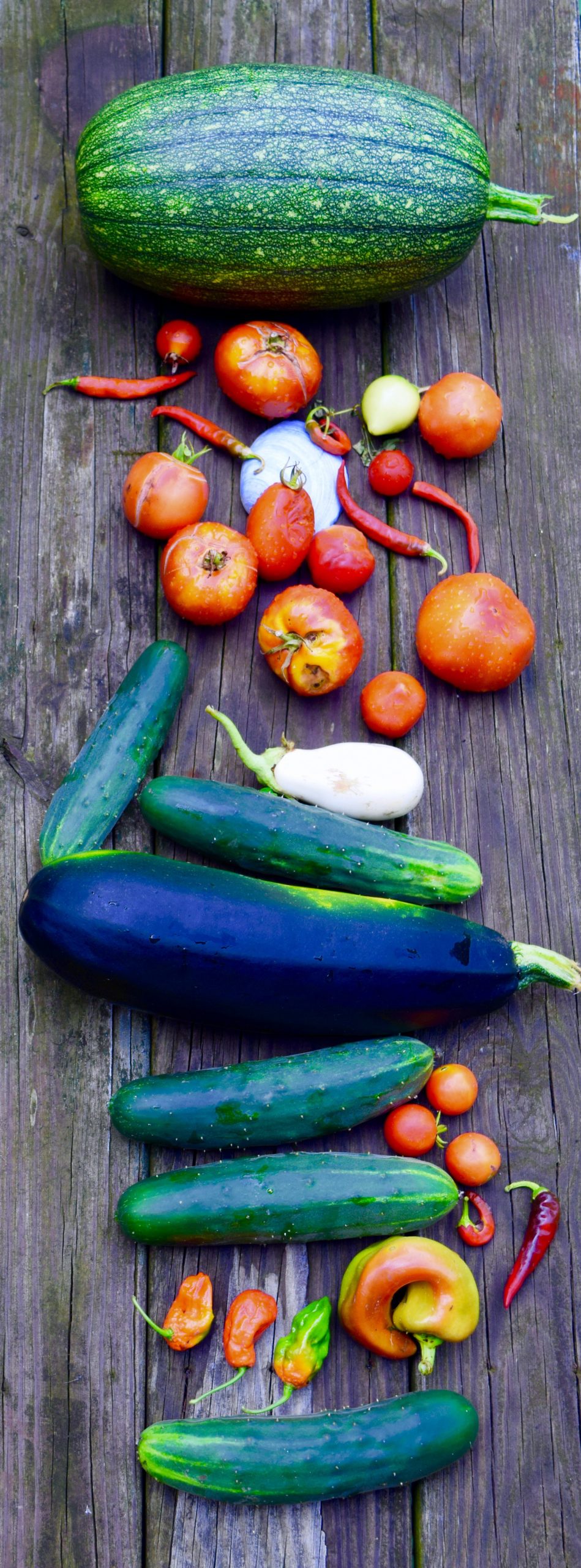 FRESH PICKED -SALAD IN THE RAW-