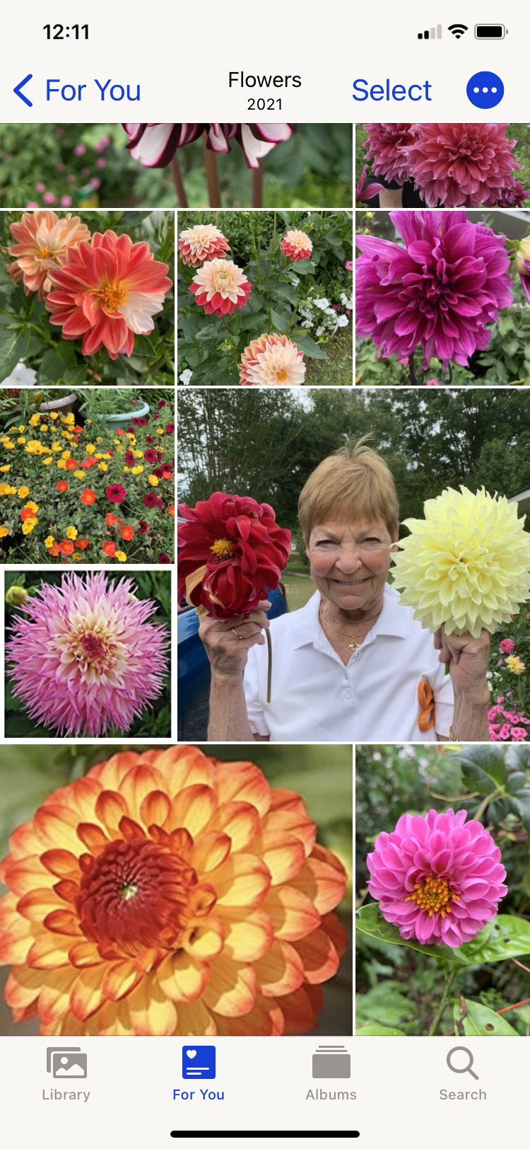 Dahlias and Zinnias and cousin Lee