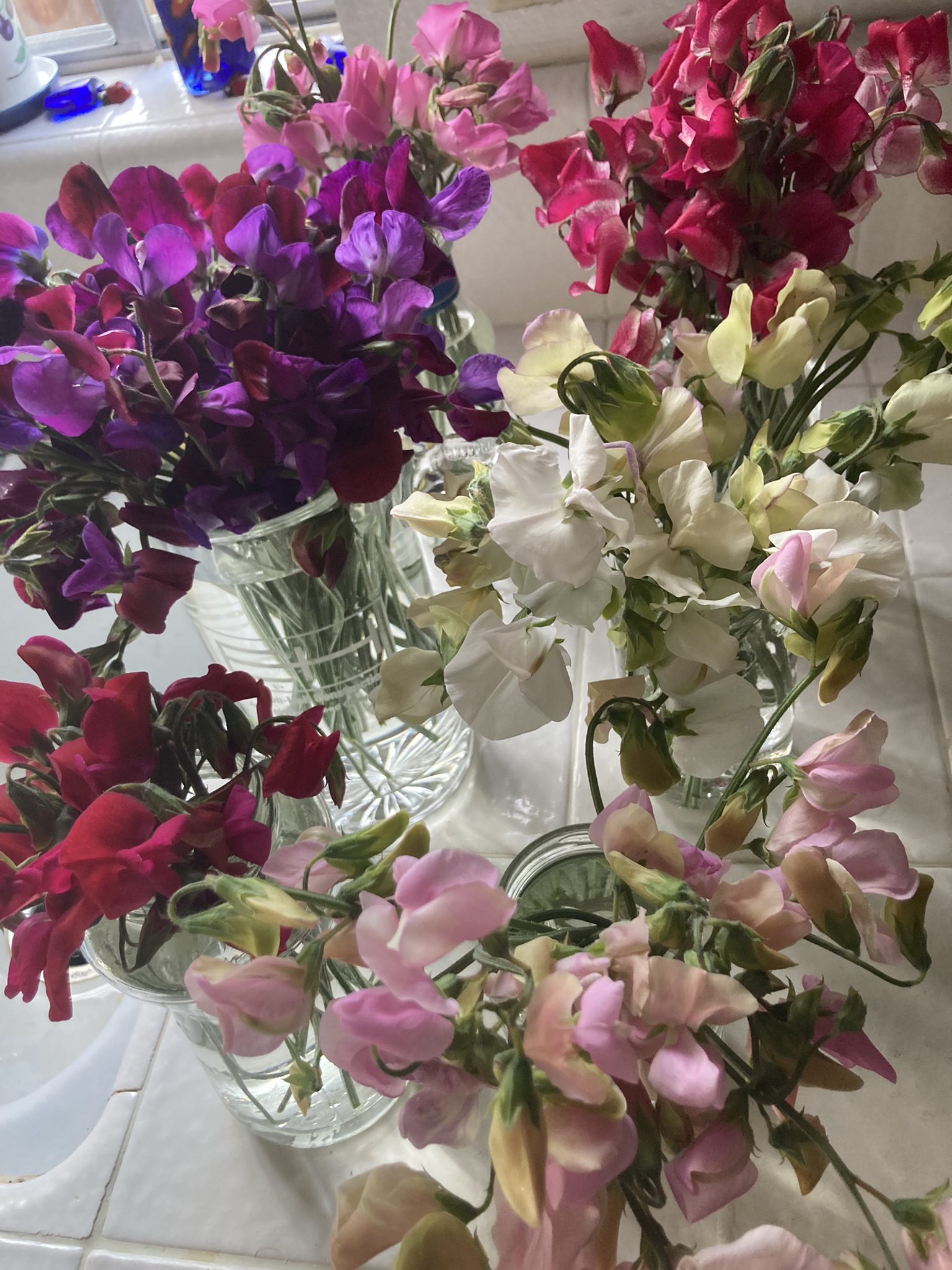 Sweet pea bouquets