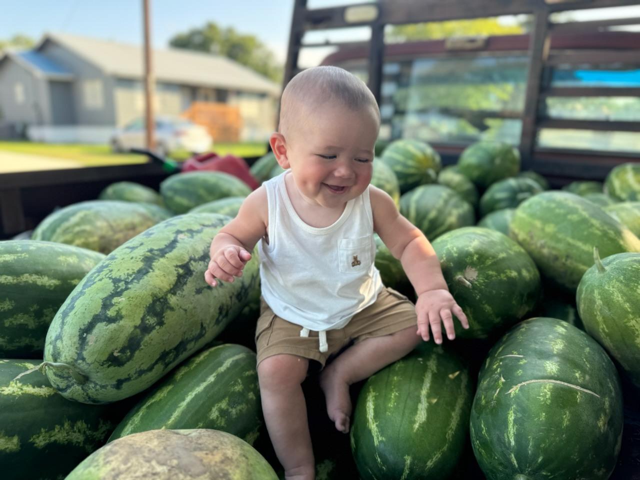 Daddy D’s & Dash Dixons Watermelon Crop