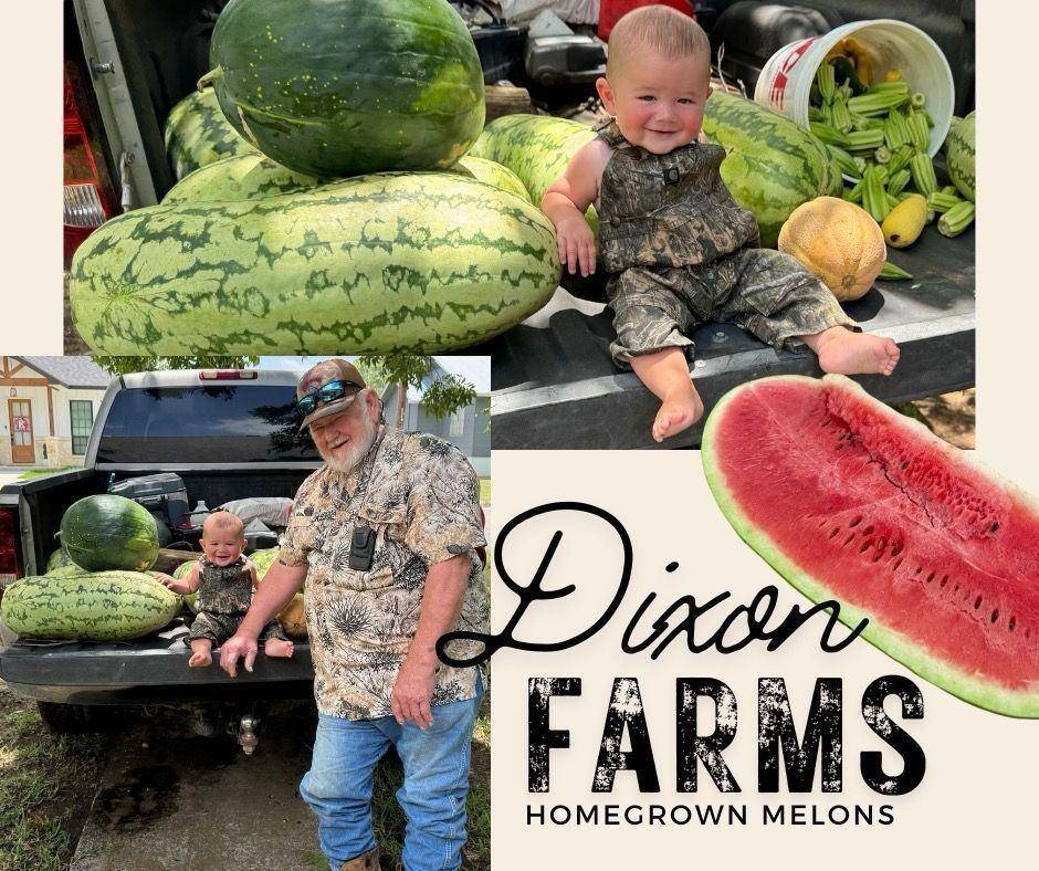 Daddy D’s & Dash Dixons Watermelon Crop