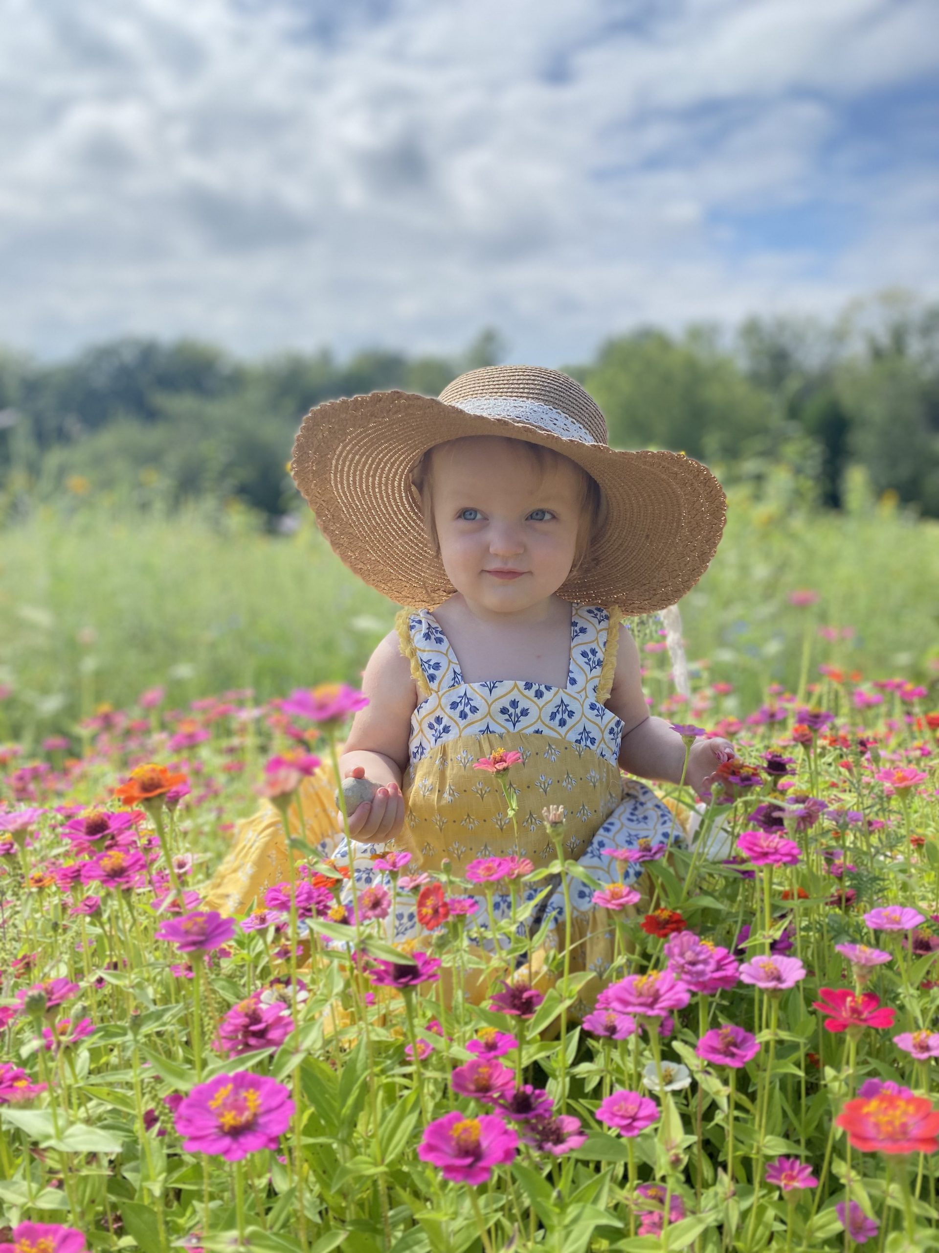 June’s Garden