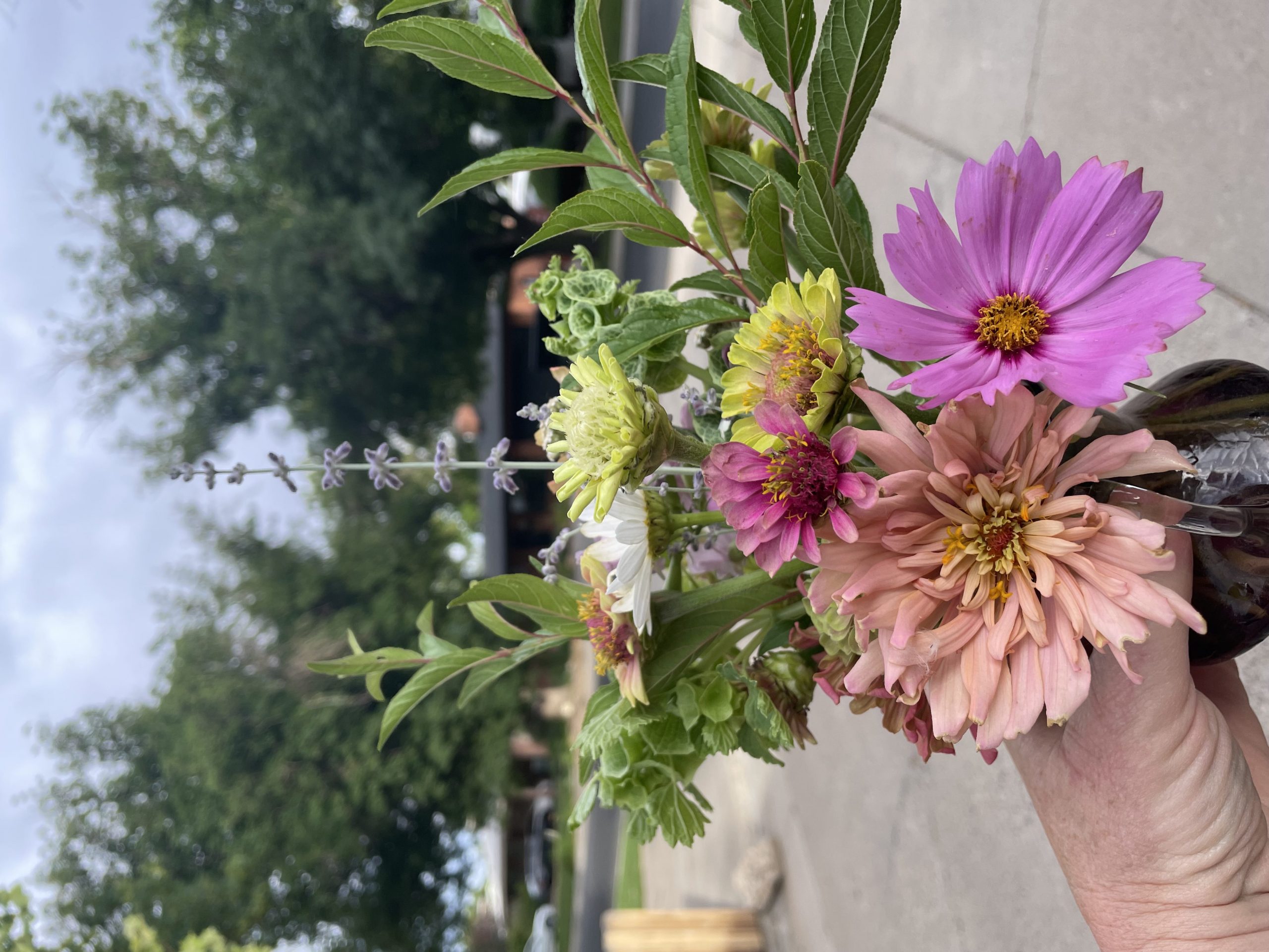 Cut flowers from my garden!