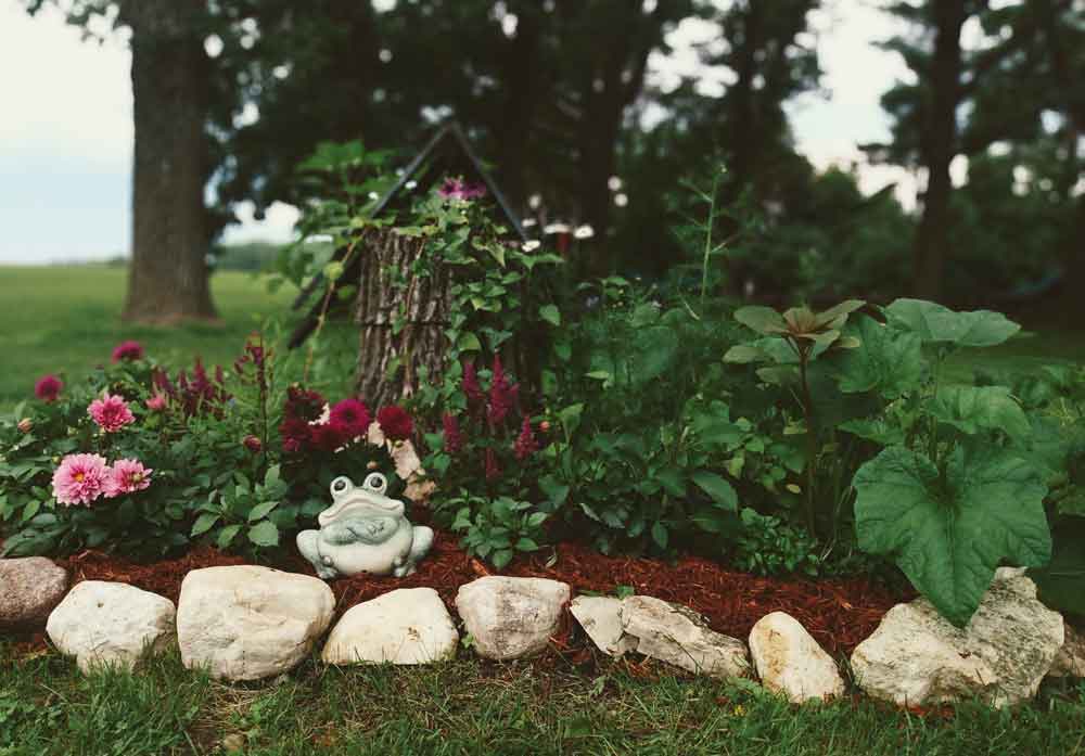 Stump Arrangement