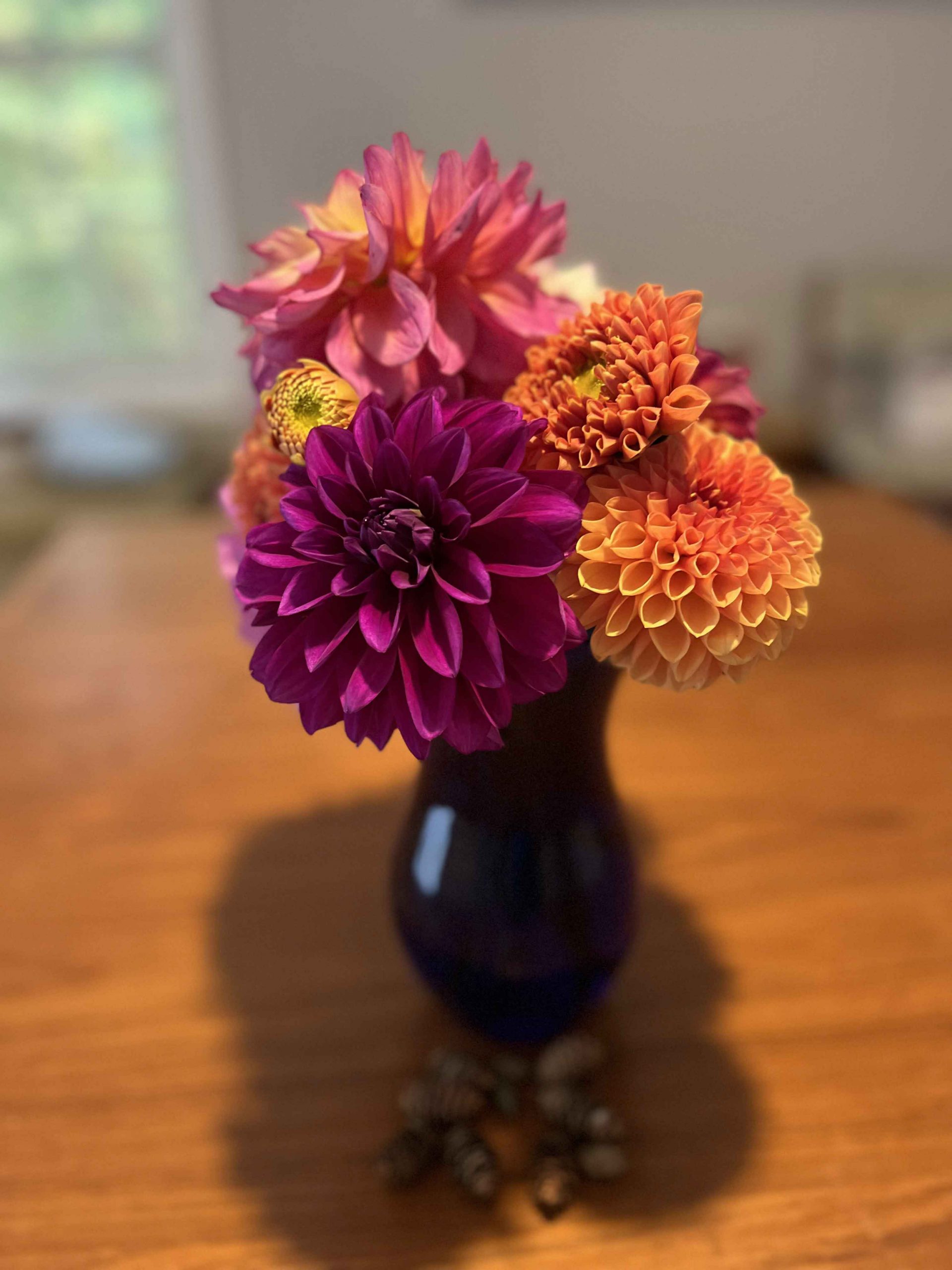 End of Season Dahlias