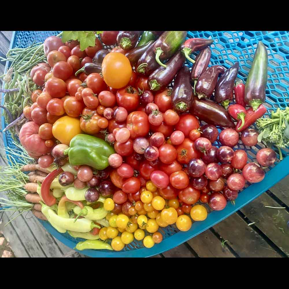 Veggie Garden Goodies