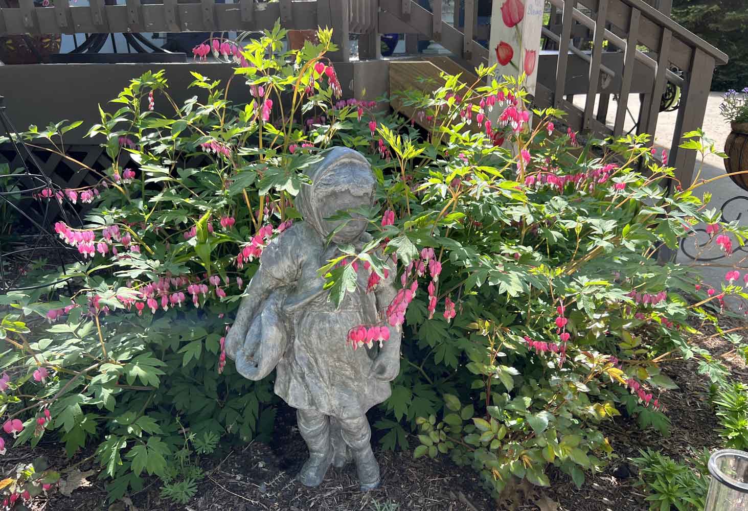 Spring joy Bleeding Heart