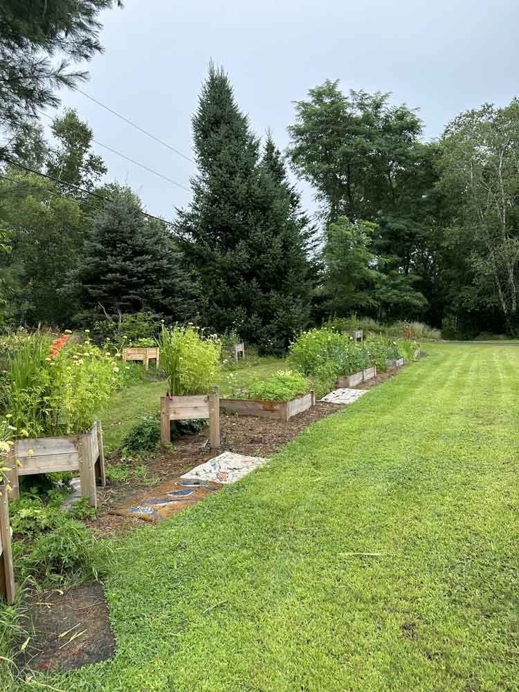 I am gardening more often in raised beds now.