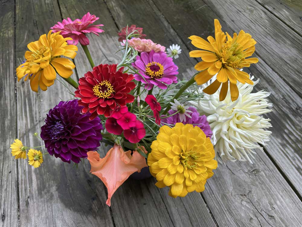 Bouquet of beautiful flowers