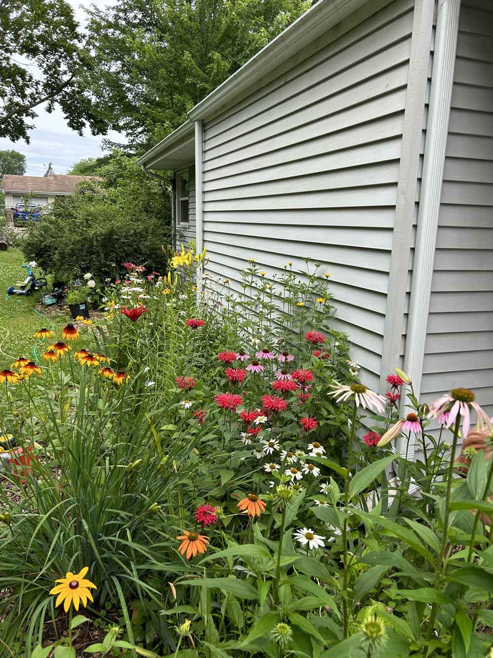 Perennial cottage garden