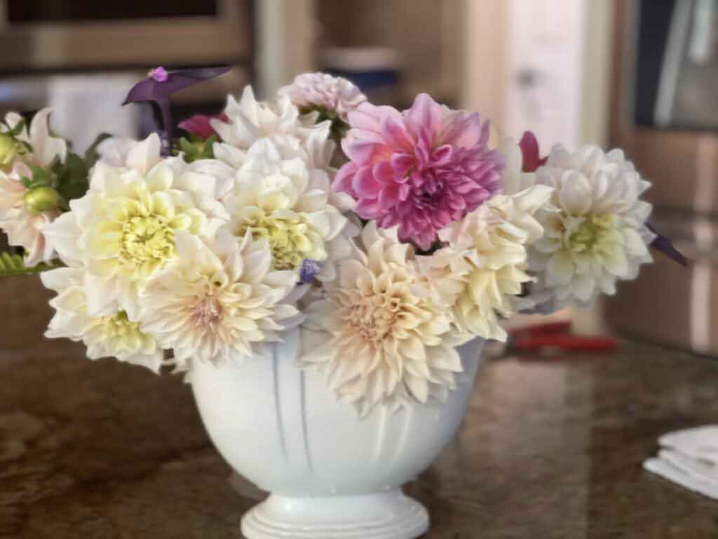 Eden Bros Dahlias arrangement