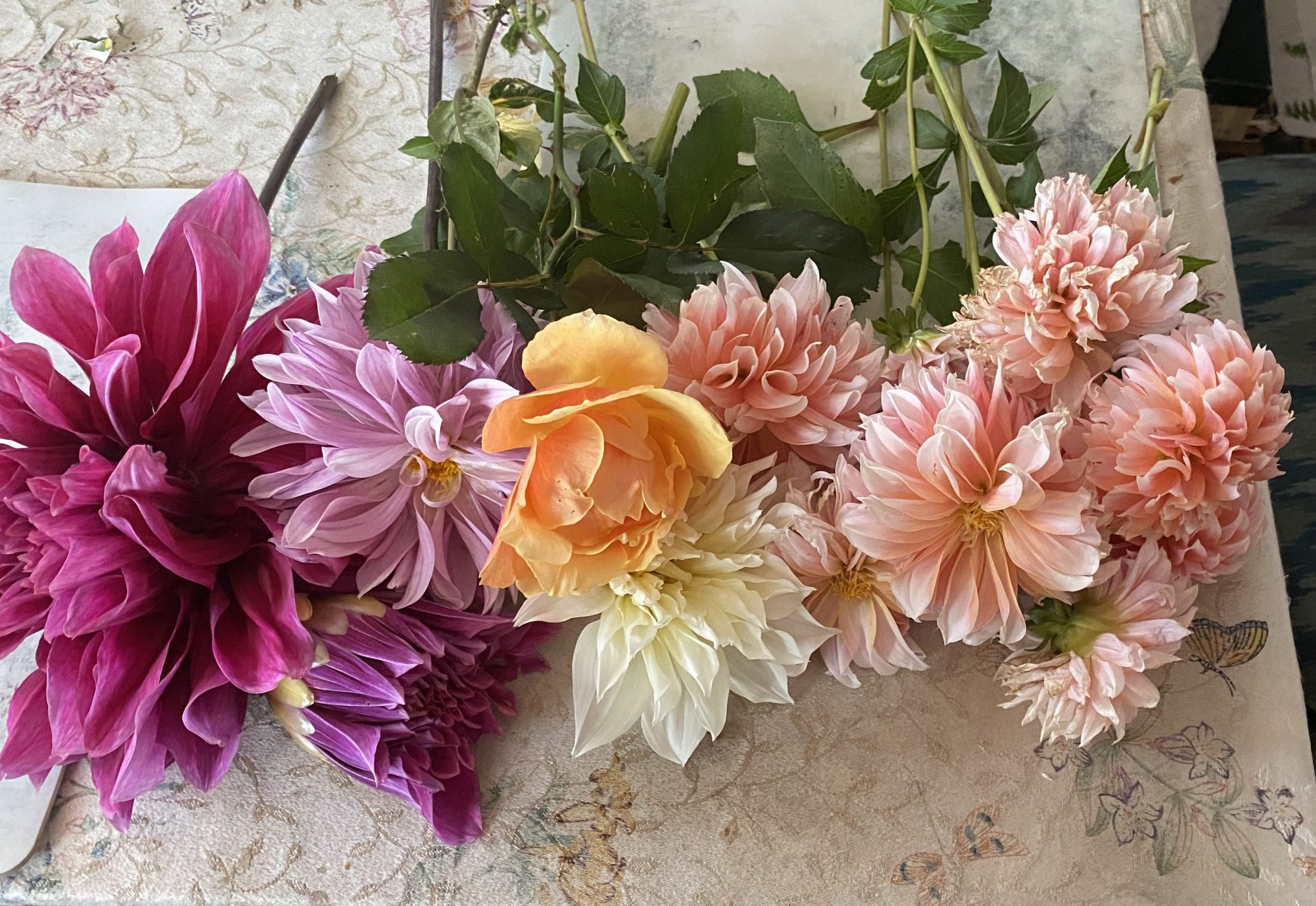 The last of my dahlias