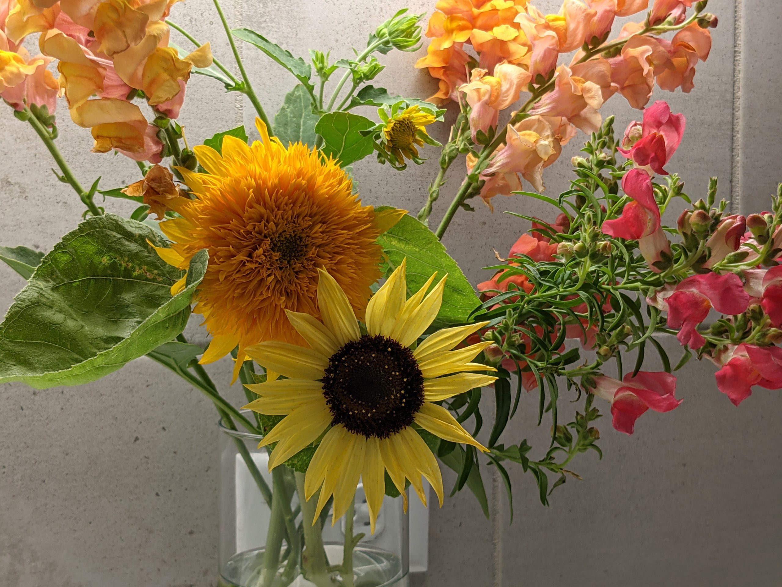 Flowers on the counter