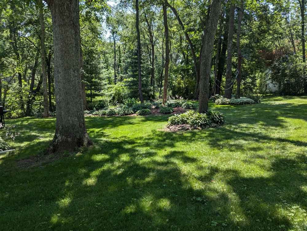 Shade and Sun Garden