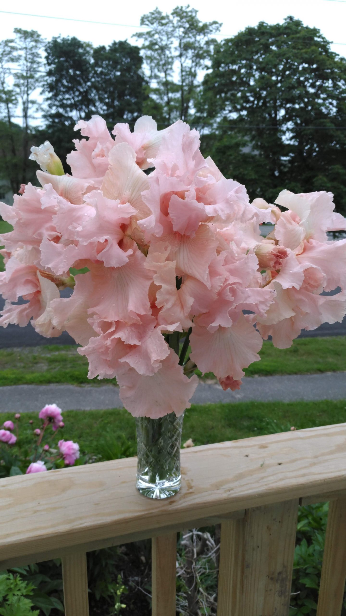 Iris bouquet