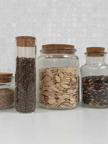 seeds in jars