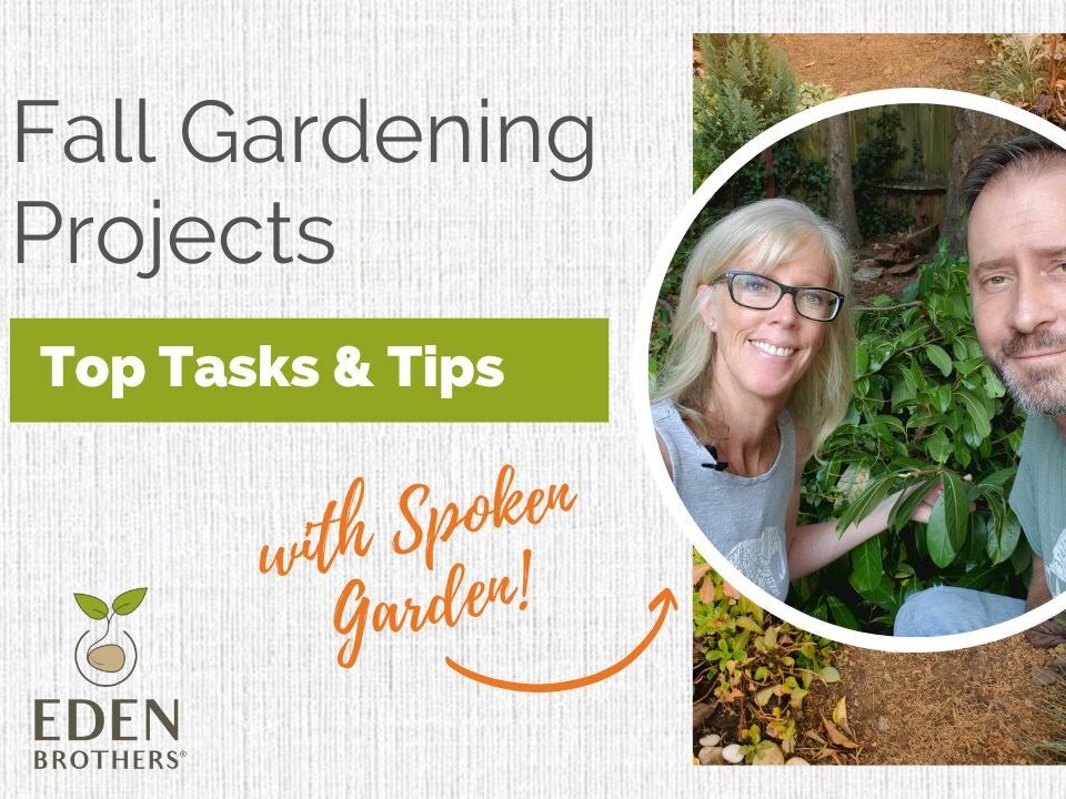 Fall Gardening Projects: Top Tasks & Tips