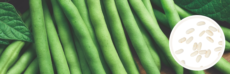 bush beans with seeds