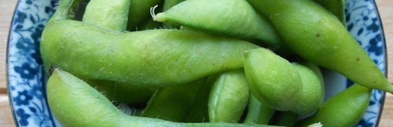 Bean Seeds (Edamame)