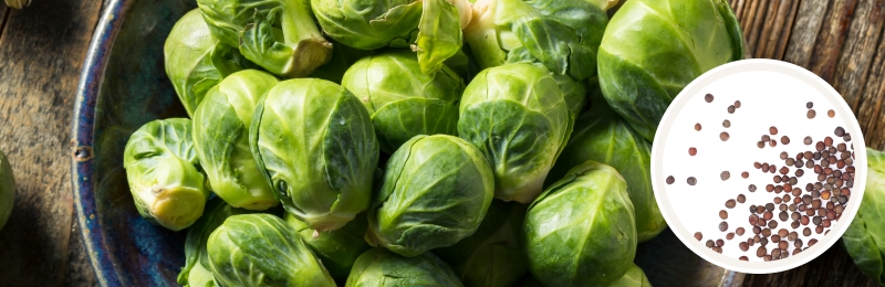 brussel sprouts in a bowl with seeds