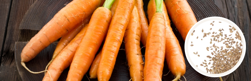 bunch of carrots on a table with seeds