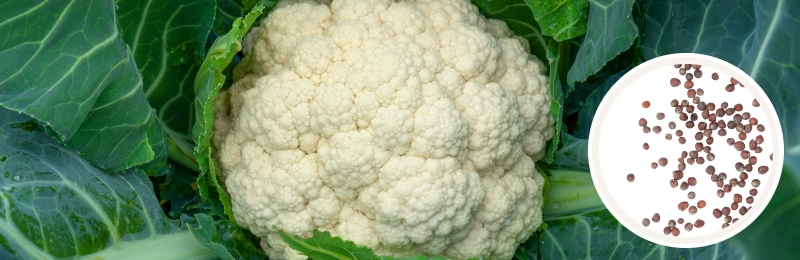 cauliflower with seeds