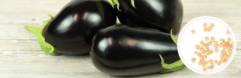 eggplant on a table with seeds