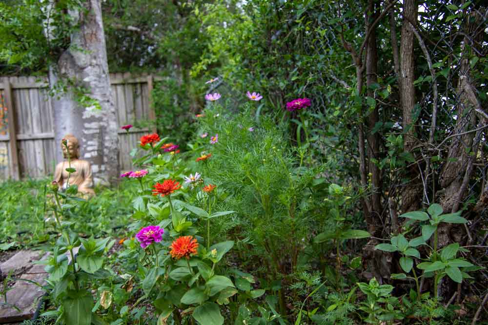 Zen Flowers