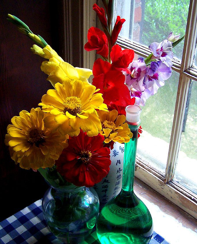 gladiolas and zinnias summer window