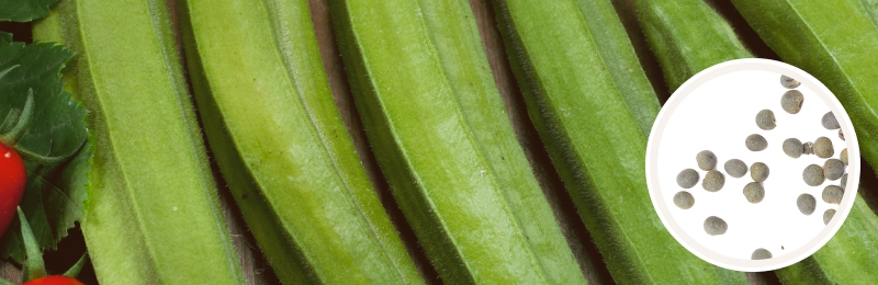 okra with seeds