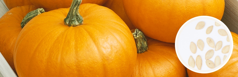 pumpkins with seeds