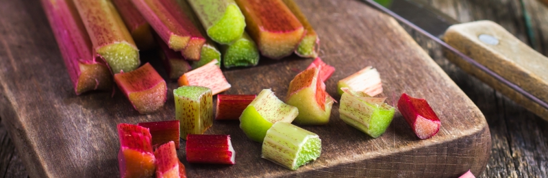 Rhubarb Seeds