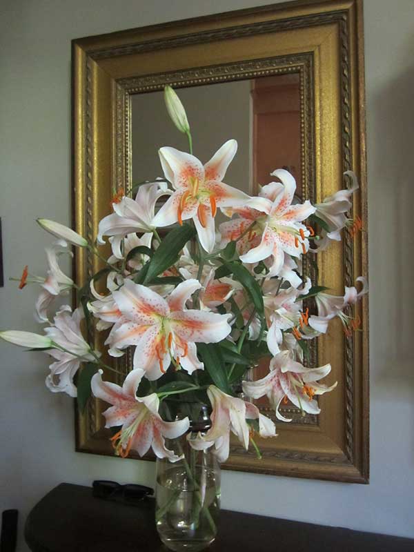 bouquet of salmon star oriental lily