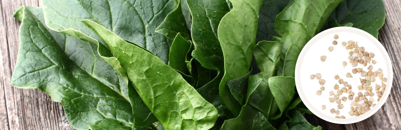 spinach on table with seeds