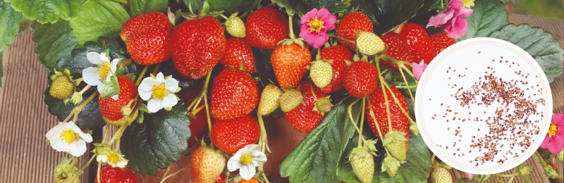 strawberries with seeds