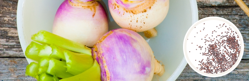 turnips in a bowl with seeds