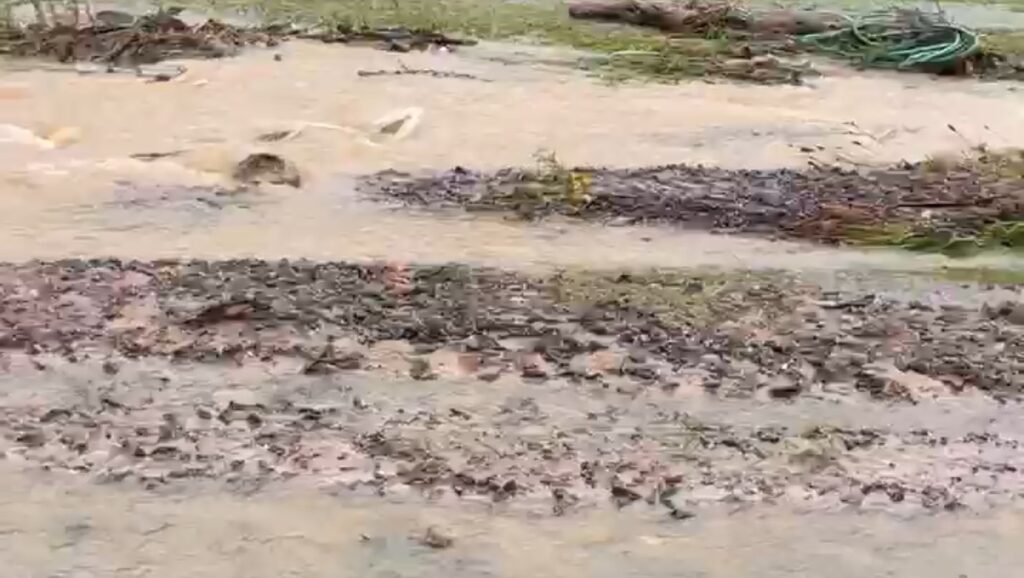 Bloom WNC field flooded after Helene