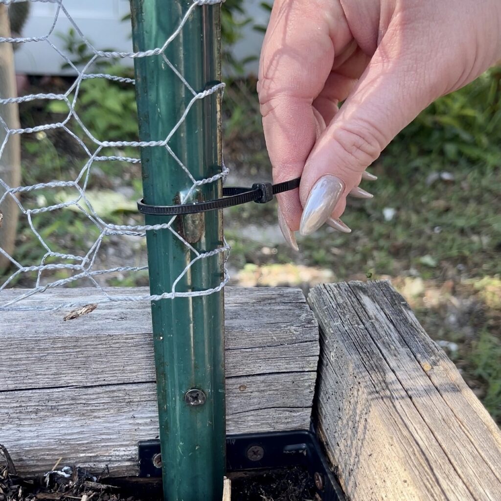 ziptie connecting wire to metal stake