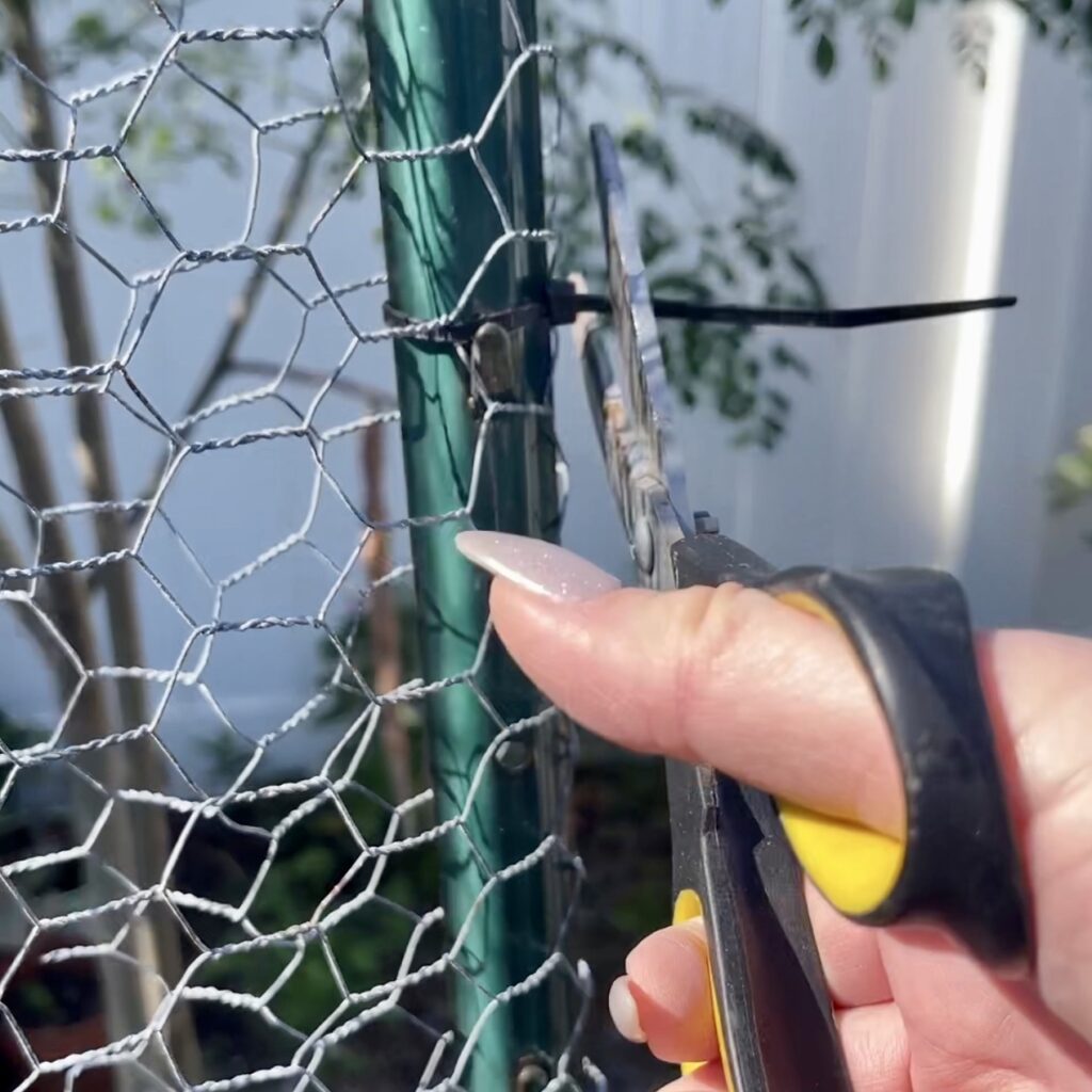 scissors cutting a zip tie