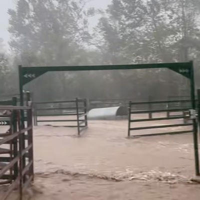 flooded cattle yard at Hickory Nut Gap Farm after Helene