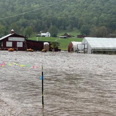 flooded farm building and greenhouse at Ten Acre Farm in NC after Helene