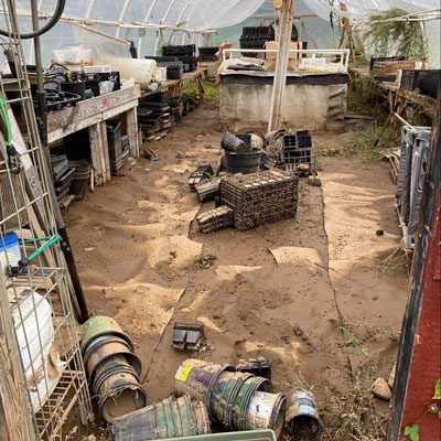 Inside of greenhouse at Ten Acre Farm in NC after Helene