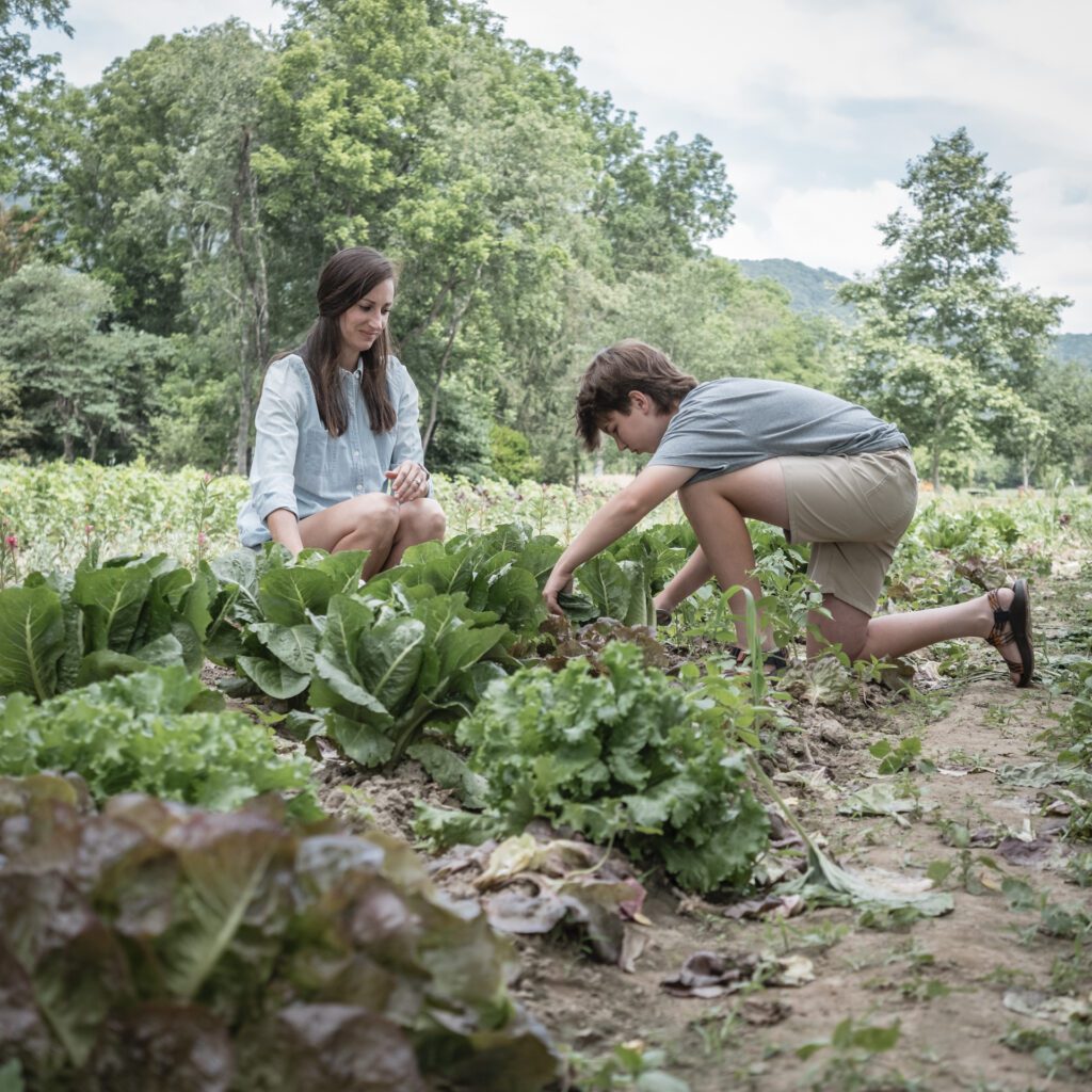 two people in garden looking at rows in garden